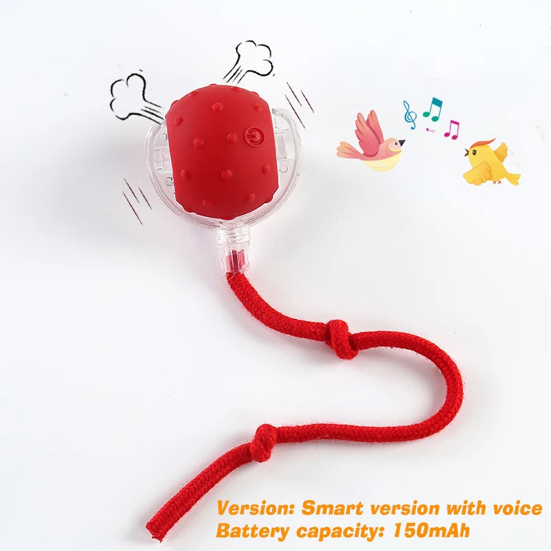 New Cat Interactive Ball Toy,Automatic Rolling Cat Ball Rechargeable,Smart Kitten Interactive Toy,Intelligent Balls Toy for Cat