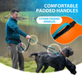 Two in one pet leash