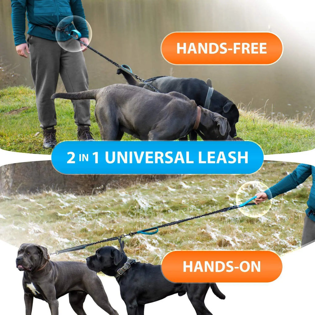 Hands Free Double Dog Leash – Dual Leash for Medium and Large Breeds – Lead for 2 Dogs with Padded Handles,Reflective Stitches (Copy)
